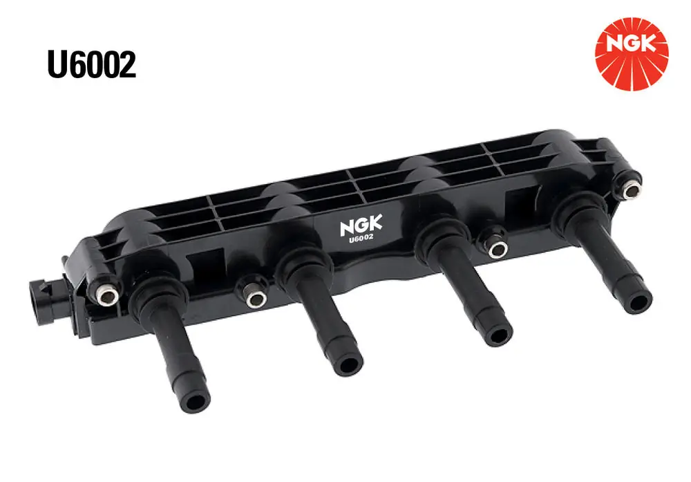 U6002 NGK