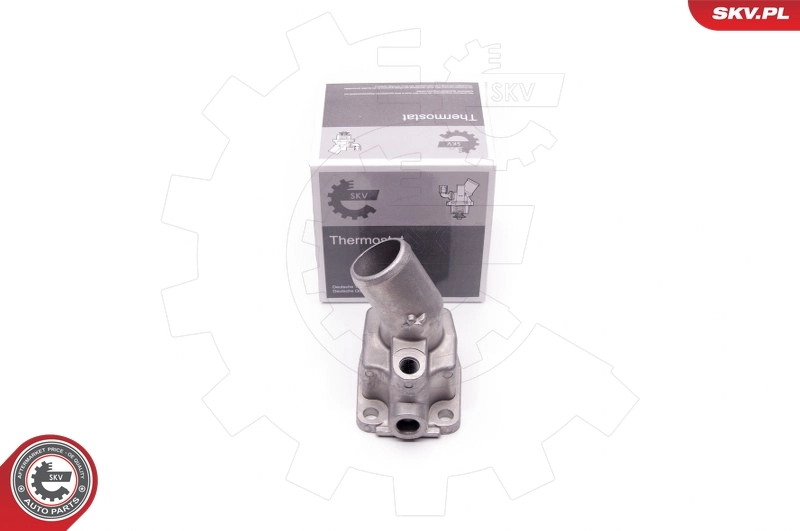 Termostat Iveco Daily 4