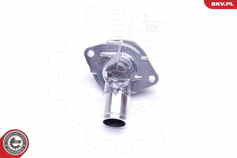 Termostat 25205818 General Motors