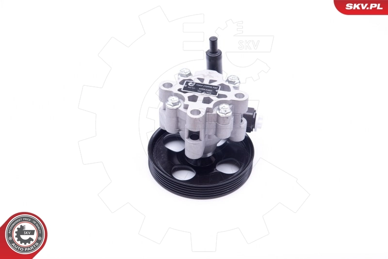 Pompa wspomagania hydraulicznego kierownicy SKV 10SKV287 cena, od 98,75 USD