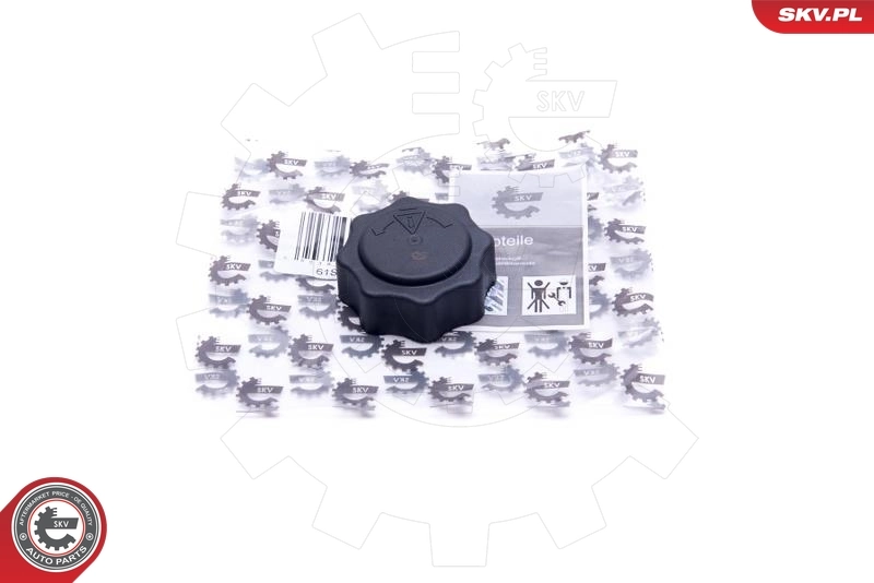 61SKV016 SKV