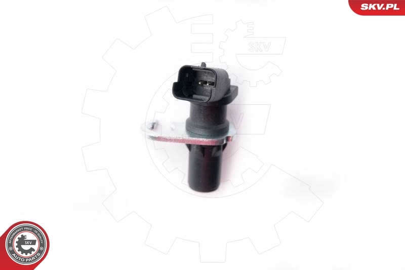17SKV309 SKV