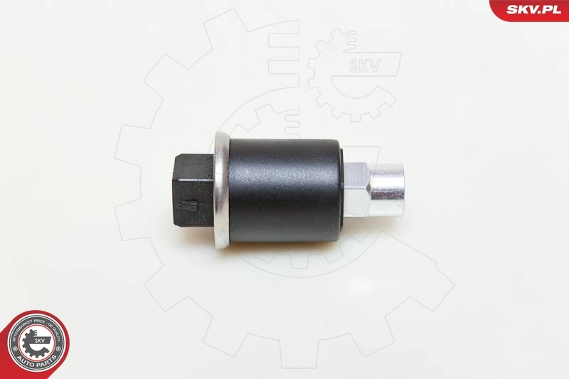 95SKV101 SKV