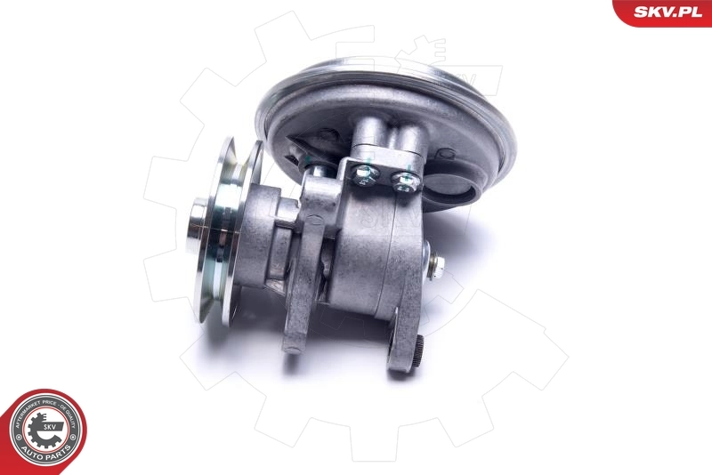 Pompa podciśnienia Peugeot J5 290 P