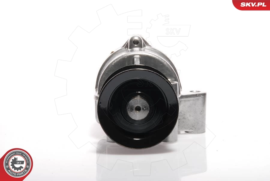 18SKV002 SKV