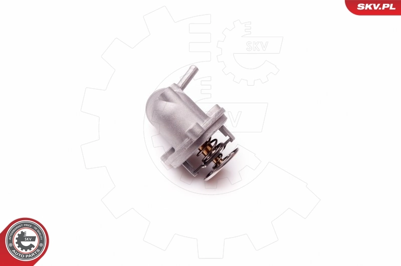 20SKV049 SKV