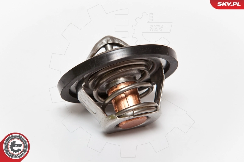 1338870 General Motors Termostat