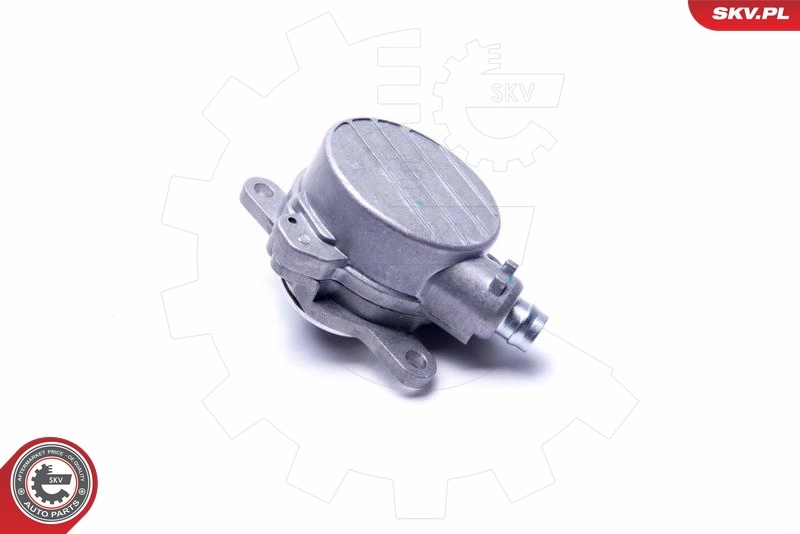 Do koszyka Pompa podciśnienia Renault Espace IV JK0