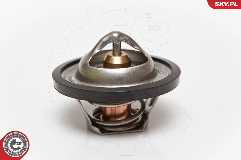 Termostat 1338870 General Motors