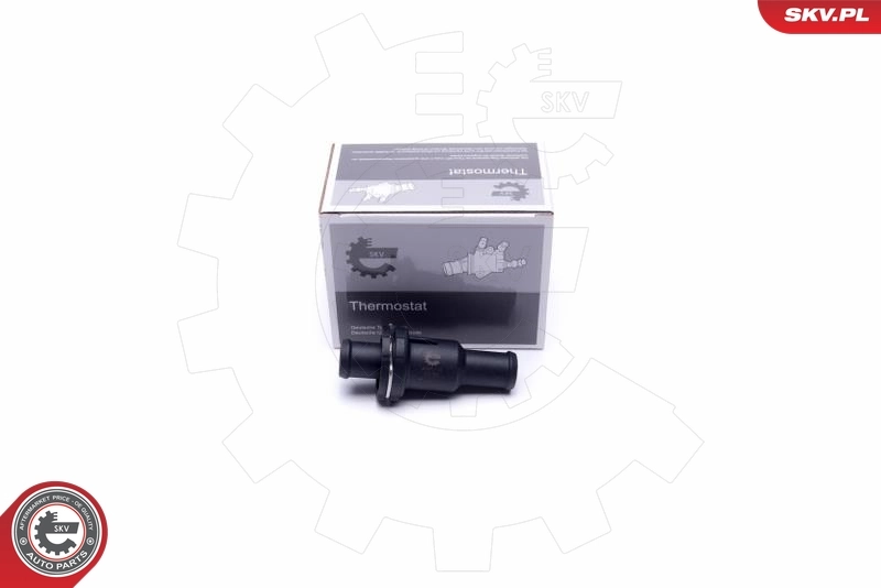 20SKV148 SKV