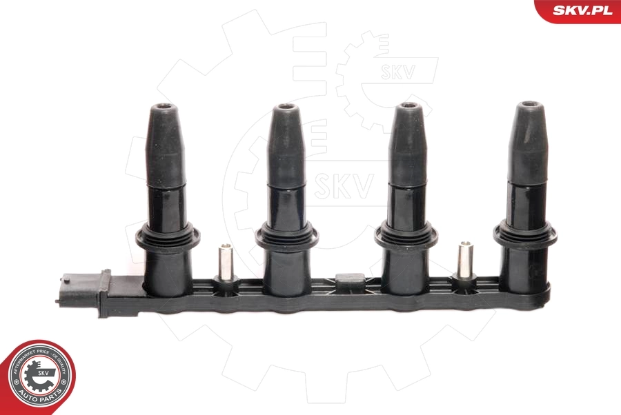 Cewka zapłonowa SKV 03SKV123 cena, od 73,53 USD