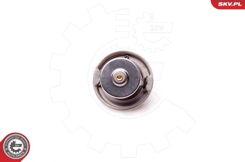 20SKV048 SKV