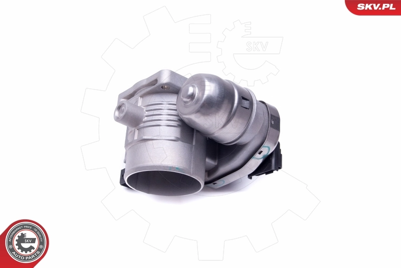 Przepustnica, komplet Peugeot 406 8E, F