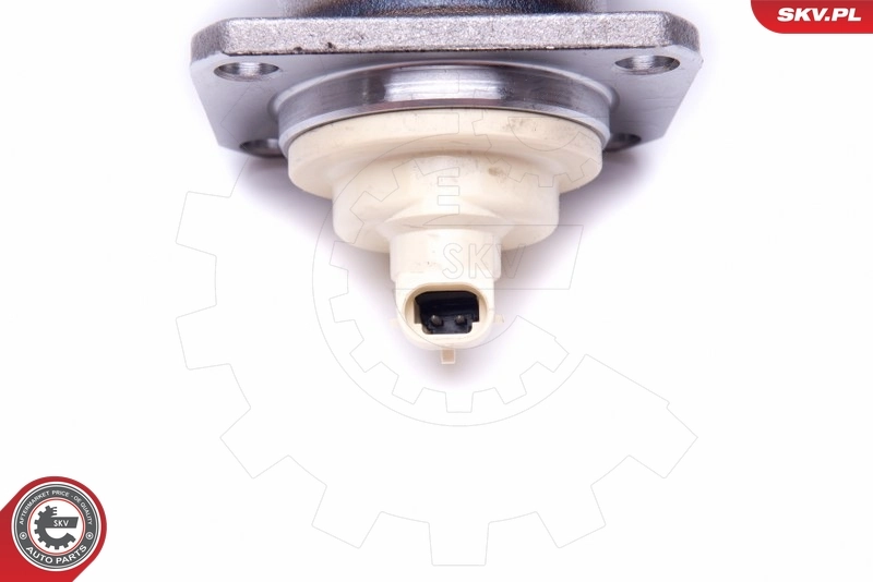 Piasta tylna Opel Sintra