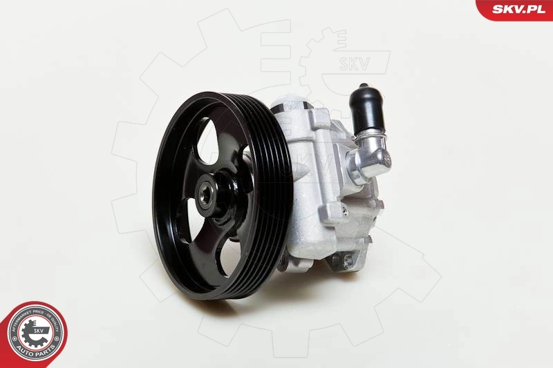 Pompa wspomagania hydraulicznego kierownicy Peugeot 406 coupe (8C) (1997 - 2004) cena, od 58,24 USD
