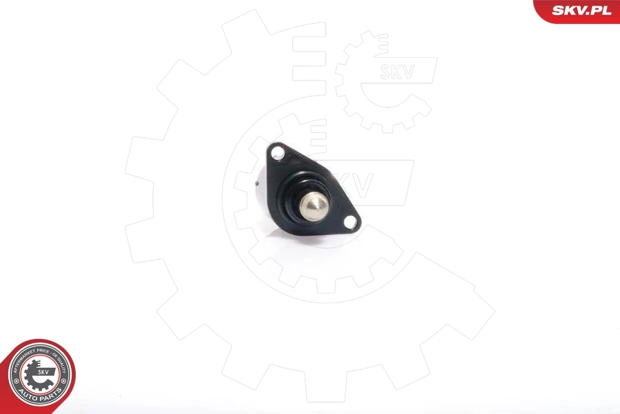 08SKV012 SKV