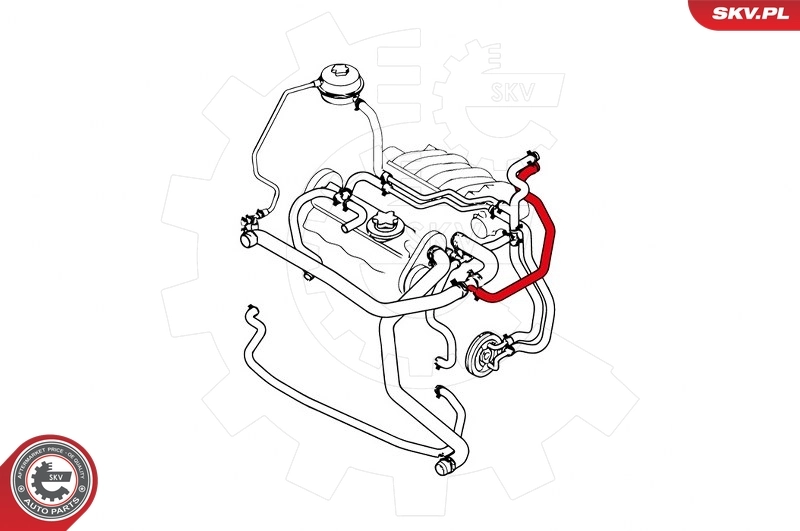 Do koszyka Przewód (króciec) chłodnicy górny Land Rover Freelander I L314