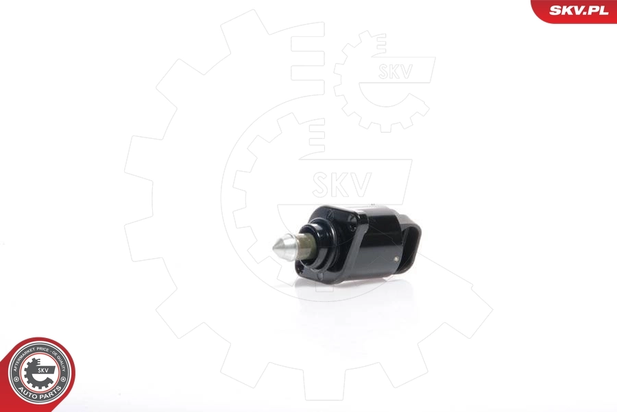 Regulator biegu jałowego Renault Twingo 1 C06