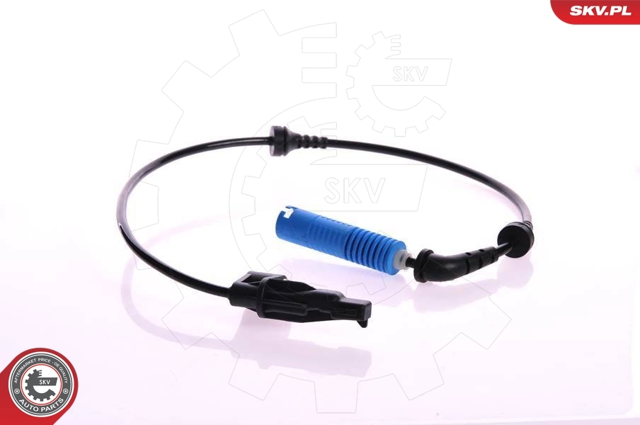 06SKV041 SKV