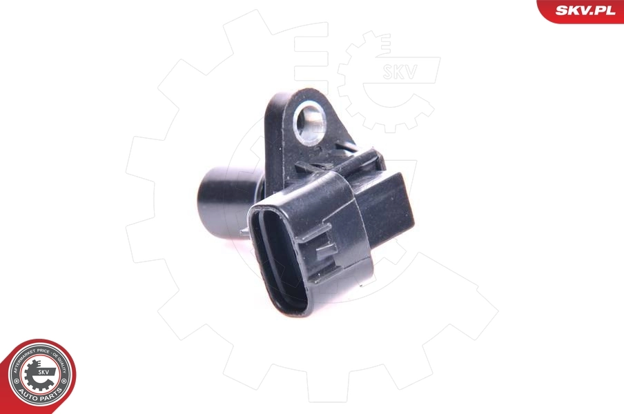 17SKV223 SKV