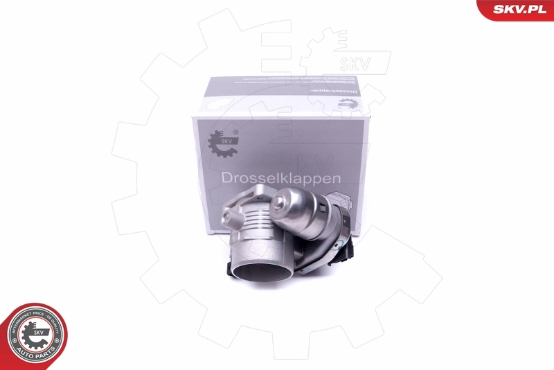 Przepustnica, komplet Peugeot 406 8E, F