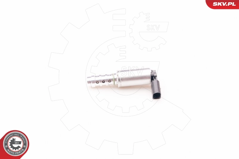 39SKV009 SKV