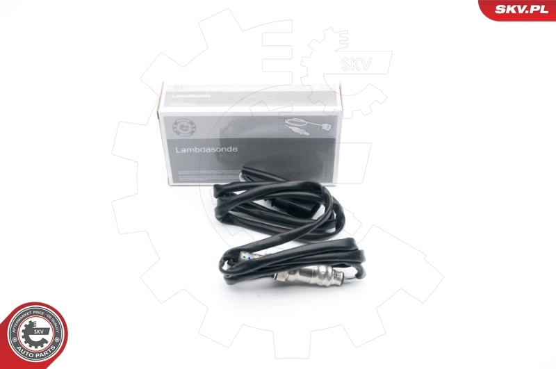 09SKV631 SKV