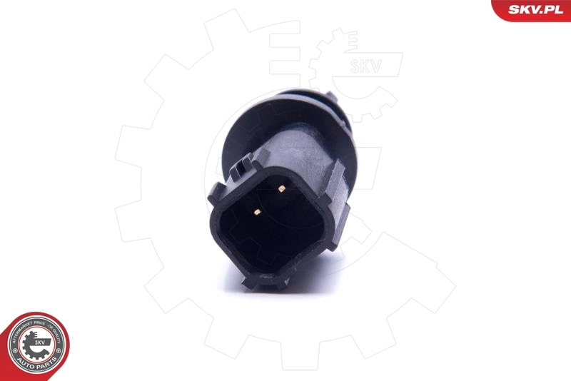 Czujnik temperatury powietrza wlotowego Dodge Caravan NS