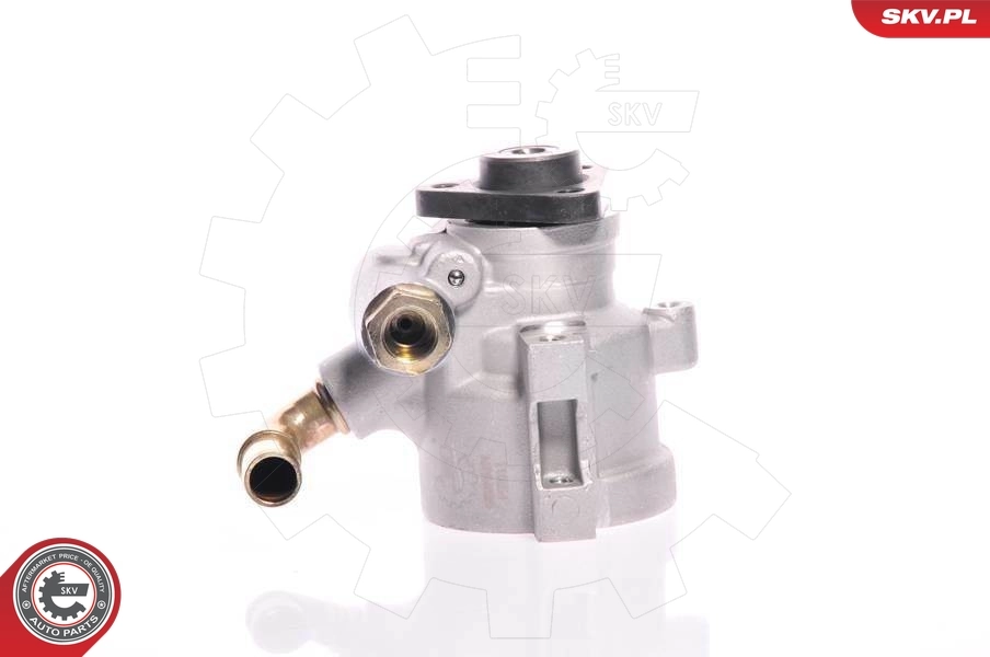 Pompa wspomagania hydraulicznego kierownicy do Ford Escort GAL