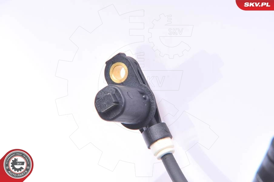 06SKV114 SKV