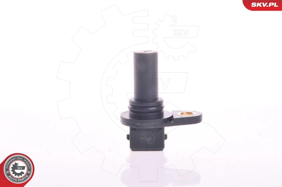 17SKV224 SKV