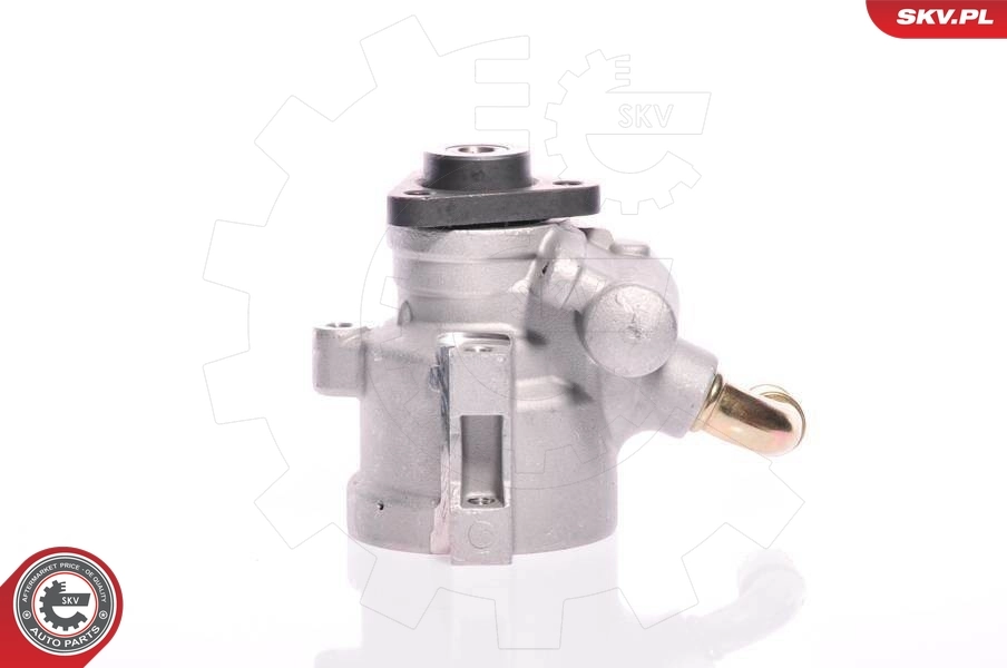 Pompa wspomagania hydraulicznego kierownicy do Ford Escort V GAL