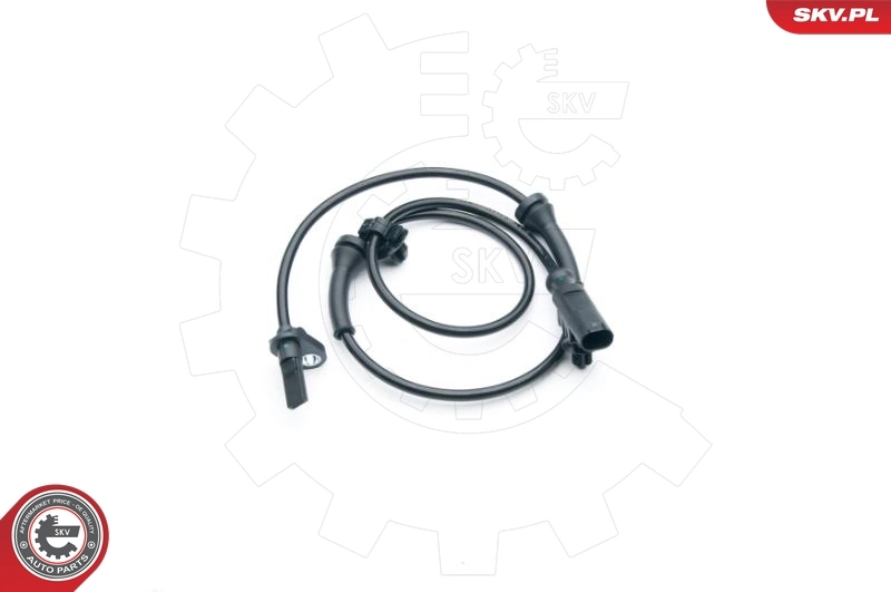 06SKV269 SKV