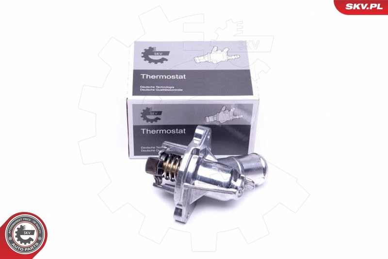 Termostat General Motors 25205818 cena, od 62,74 USD
