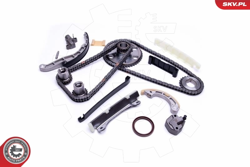 Łańcuch rozrządu, zestaw 130215X00A Renault (RVI)