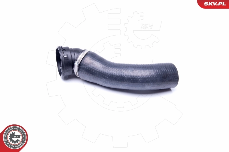 24SKV888 SKV