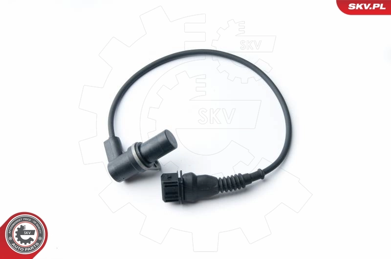 17SKV239 SKV