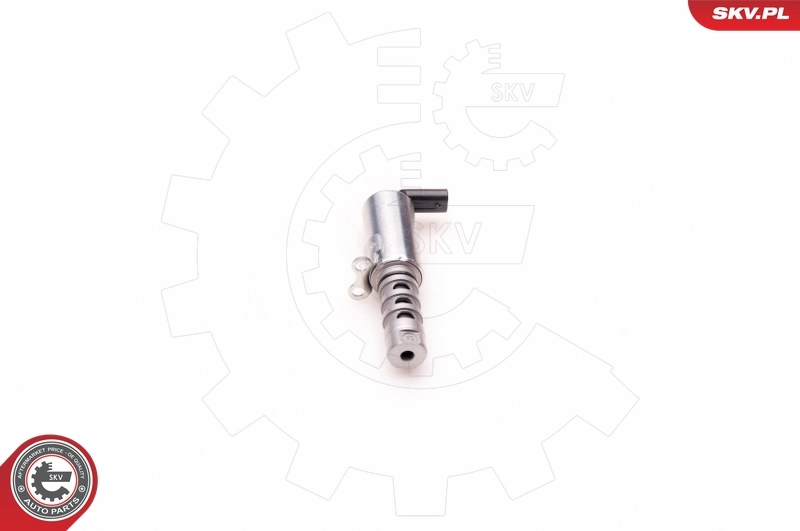 39SKV011 SKV