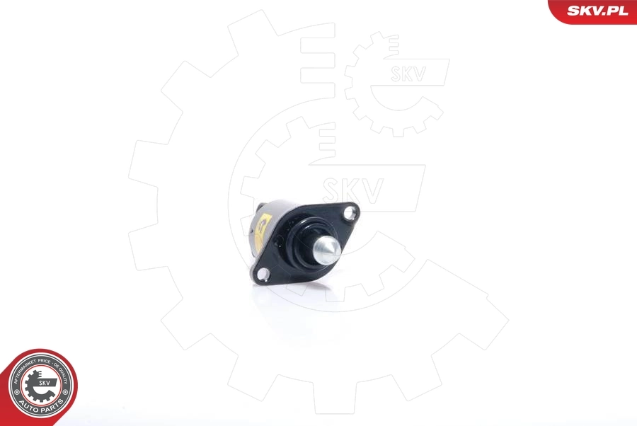  Regulator biegu jałowego Renault Kangoo 1