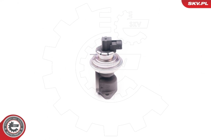 Zawór recyrkulacji spalin EGR Ford Transit 4 E