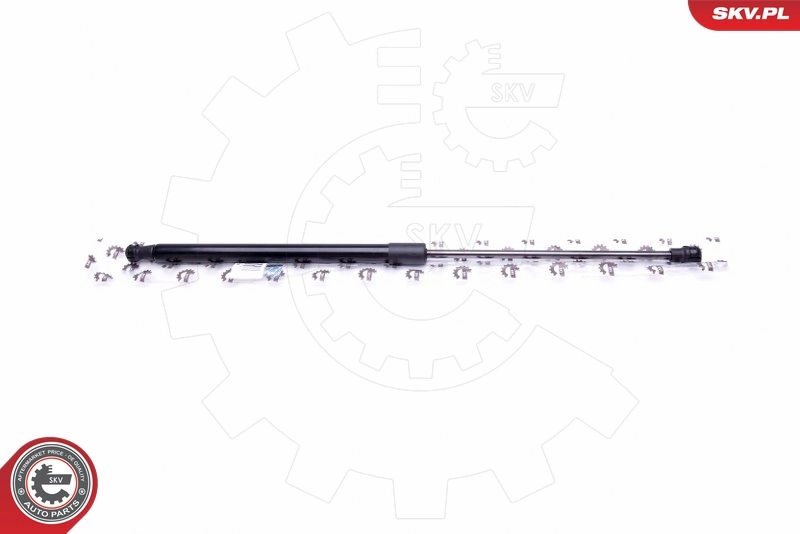  Amortyzator maski Citroen C5 1