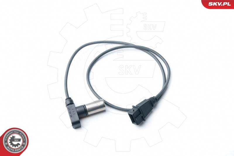 17SKV263 SKV
