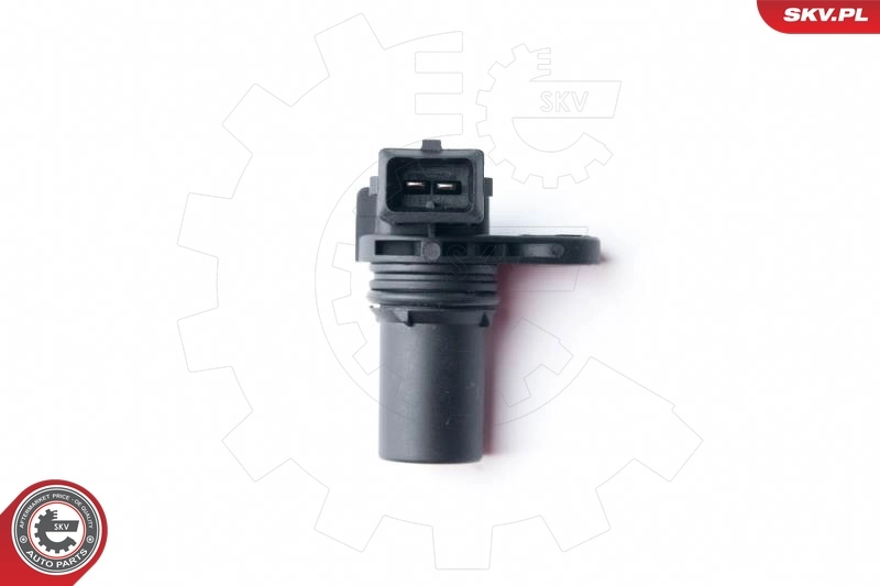 17SKV259 SKV
