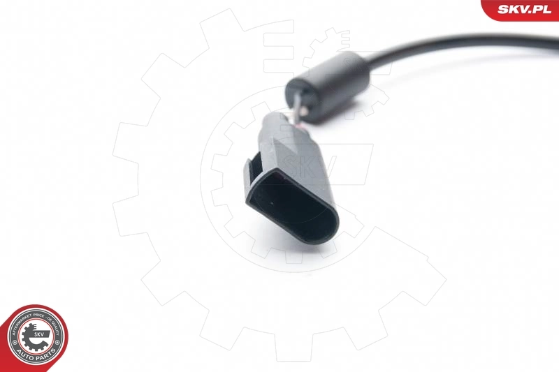 06SKV244 SKV