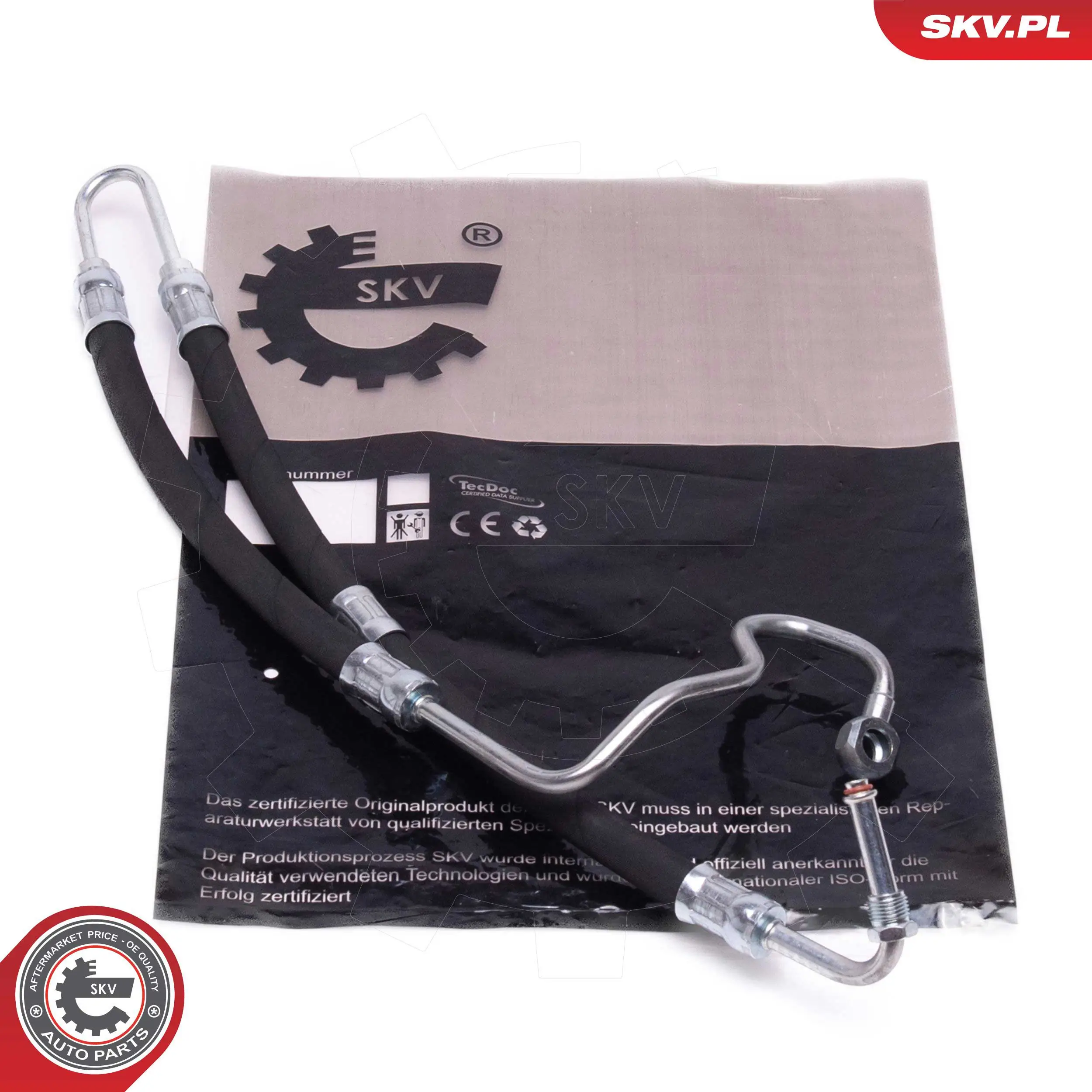 10SKV876 SKV
