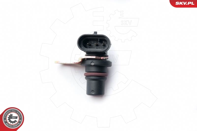 17SKV248 SKV