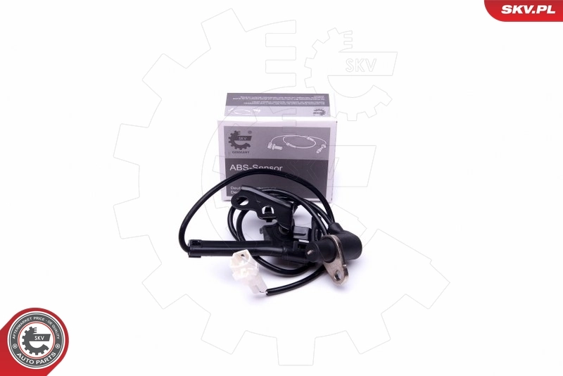 06SKV393 SKV