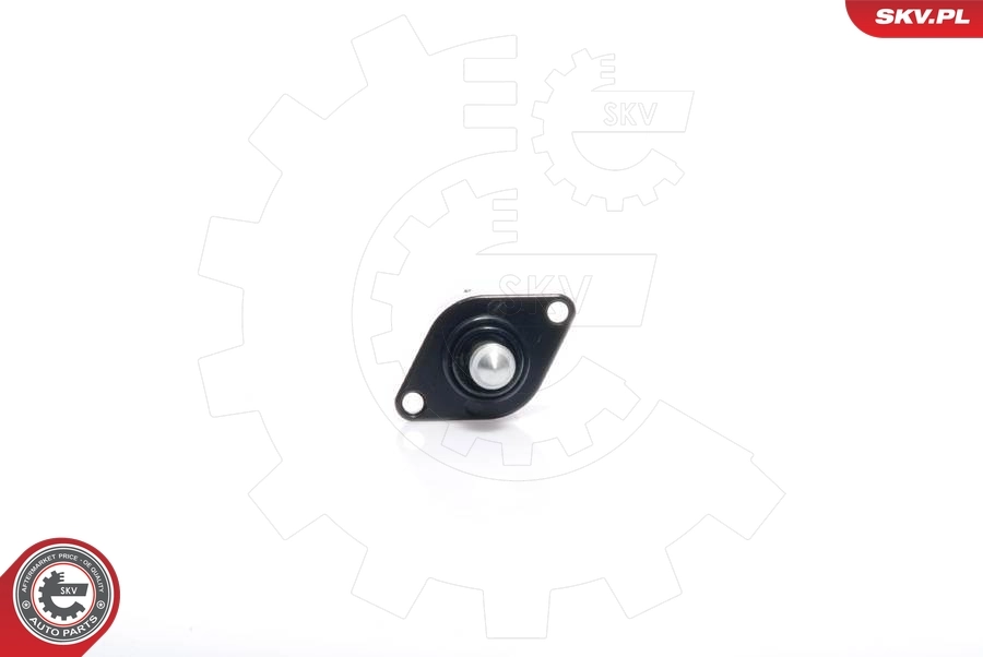 Regulator biegu jałowego Renault Twingo 1 C06