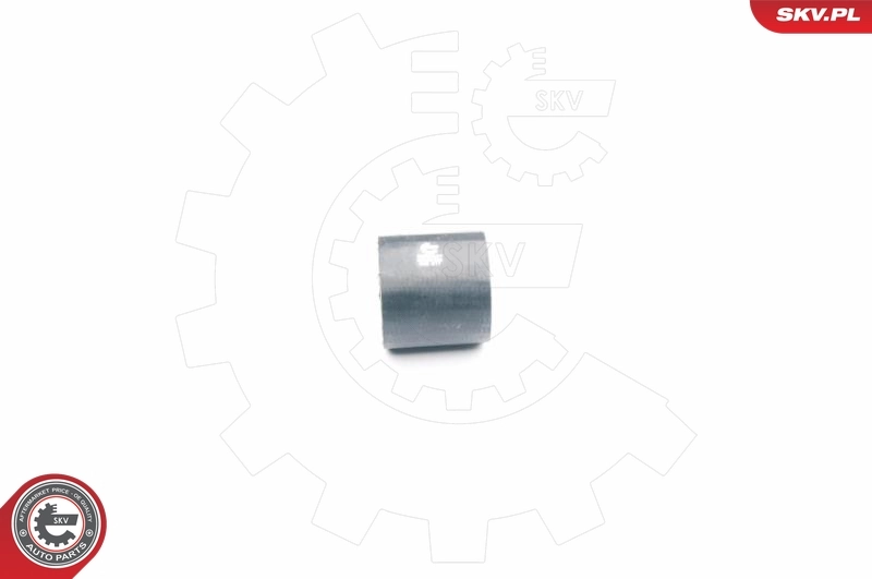 24SKV036 SKV