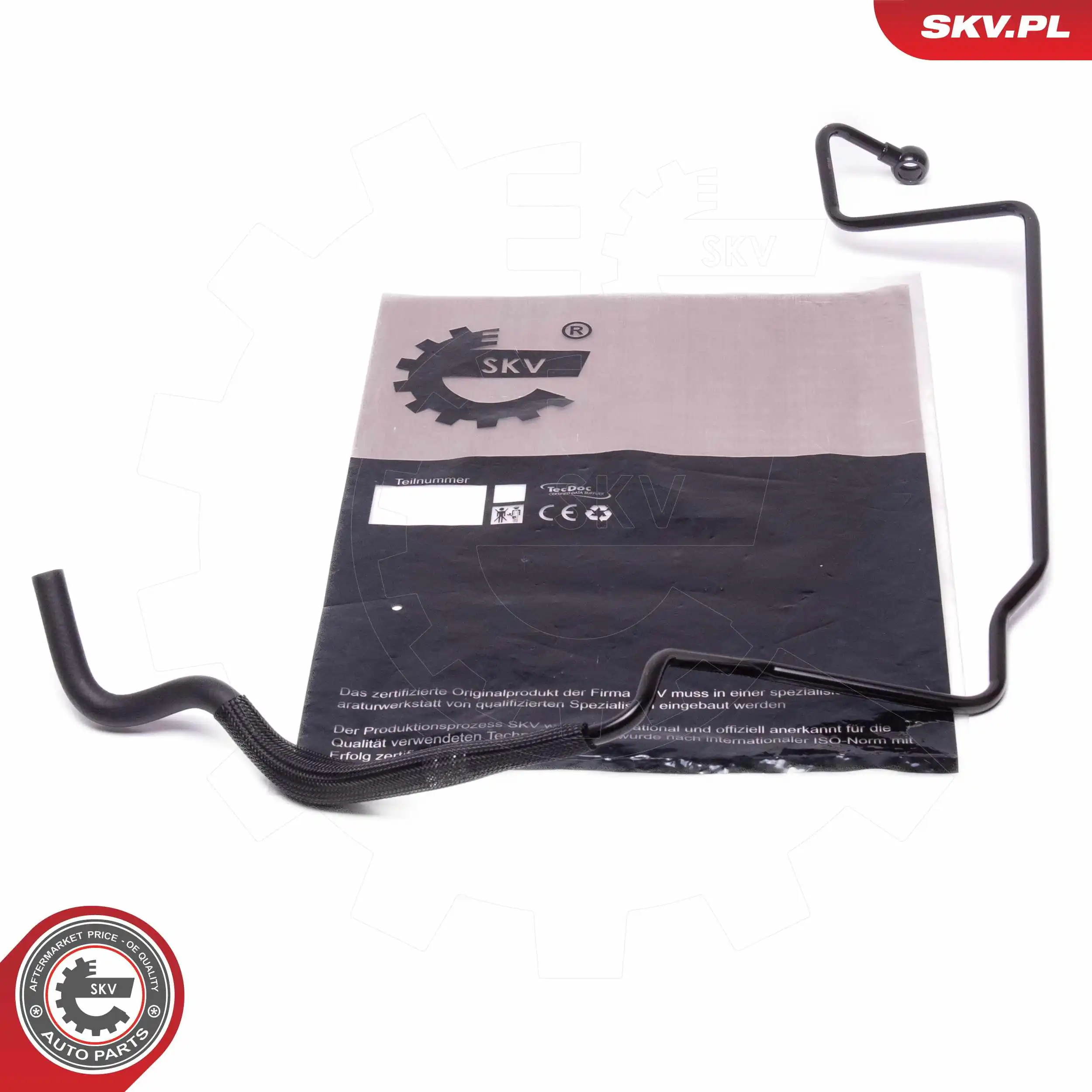 10SKV819 SKV